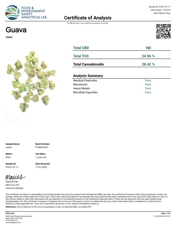 THCa Guvava - Image 2