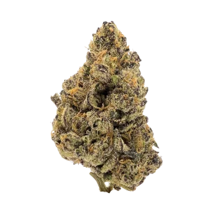 THCa Sunset Sorbet